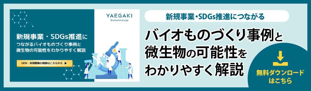 乳酸菌による免疫力活性化のメカニズムと最適な摂取方法を解説 | ヤヱガキ醗酵技研株式会社