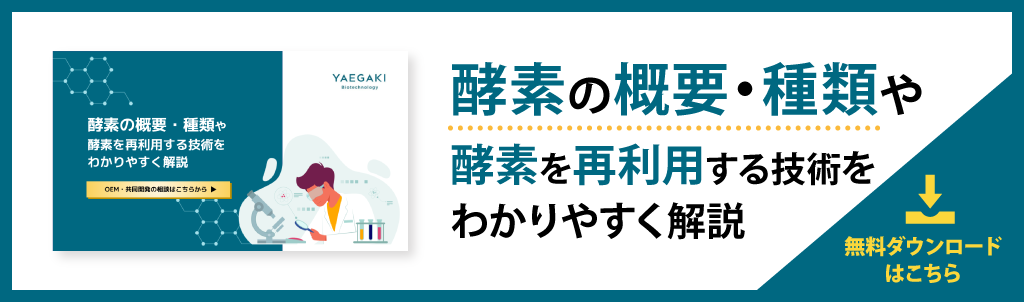 乳酸菌による免疫力活性化のメカニズムと最適な摂取方法を解説 | ヤヱガキ醗酵技研株式会社